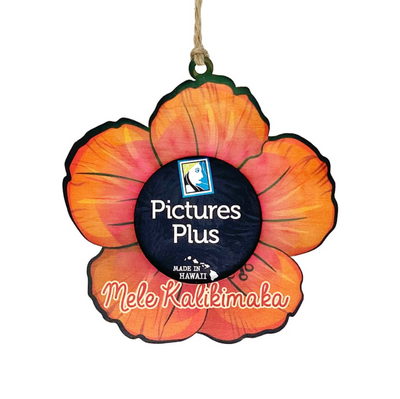 PICTURES PLUS LIMITED EDITION ORNAMENT 1